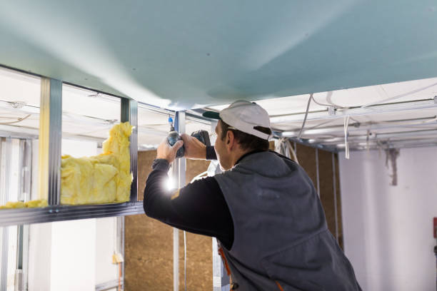 Best Energy Efficiency Solutions in Deville, AL