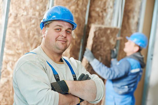 Best Insulation Maintenance and Repair in Deville, AL