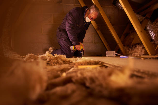 Best Types of Insulation in Deville, AL